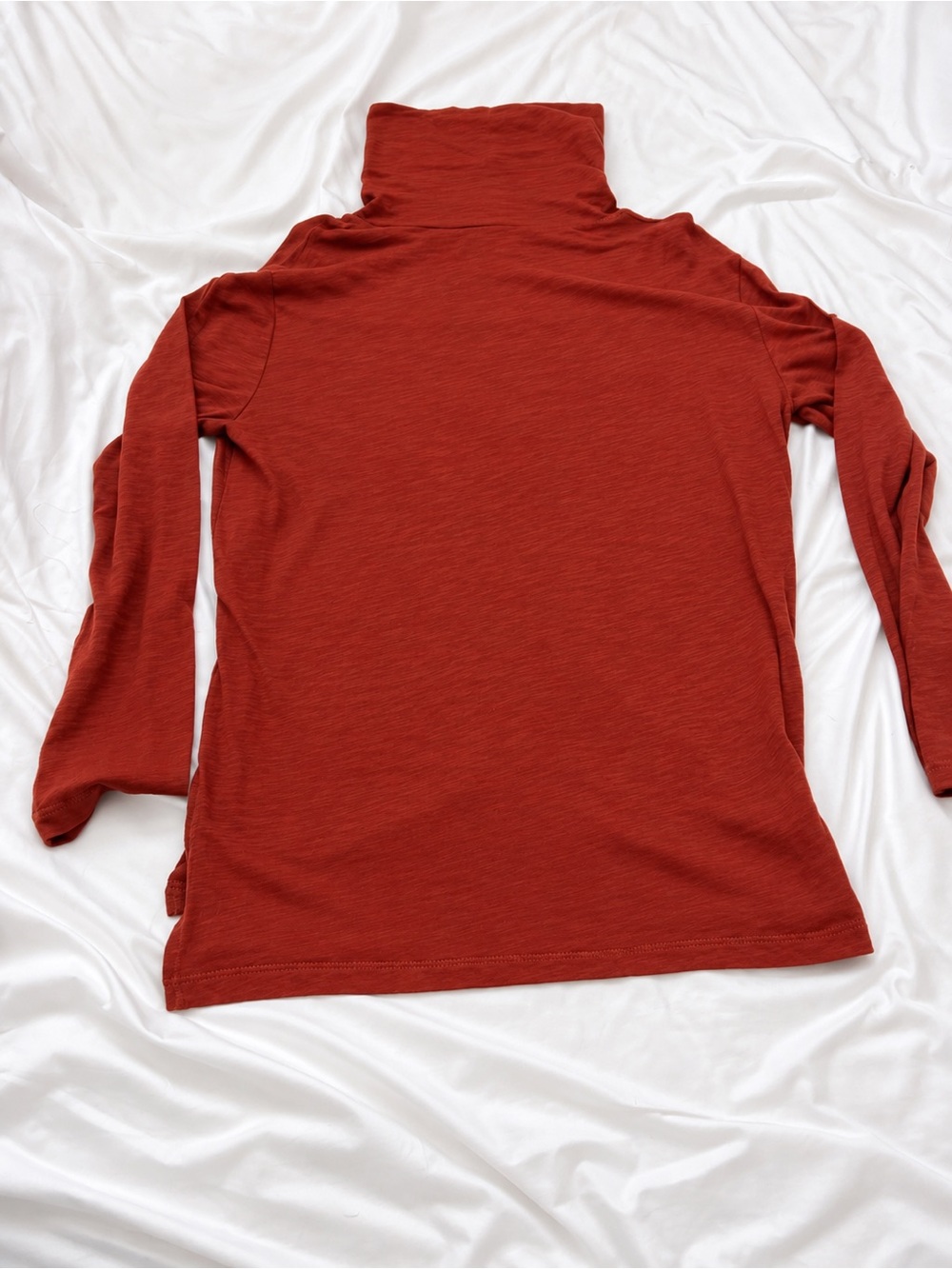 Madewell Rust Red Turtleneck Long Sleeve Top